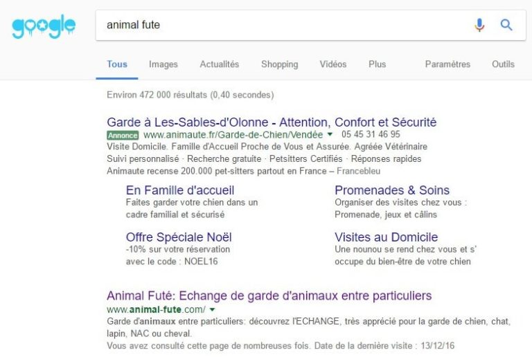 Utilisation par Animaute du nom de marque "Animal Futé" en SEA, version ordinateur